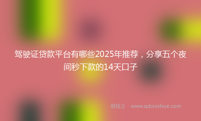 驾驶证贷款平台有哪些2025年推荐，分享五个夜间秒下款的14天口子