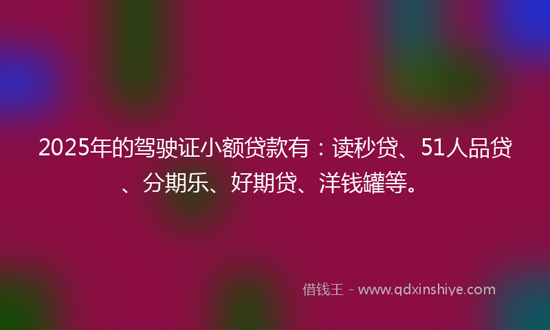 2025年的驾驶证小额贷款有：读秒贷、51人品贷、分期乐、好期贷、洋钱罐等。