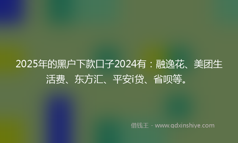 2025年的黑户下款口子2024有：融逸花、美团生活费、东方汇、平安i贷、省呗等。