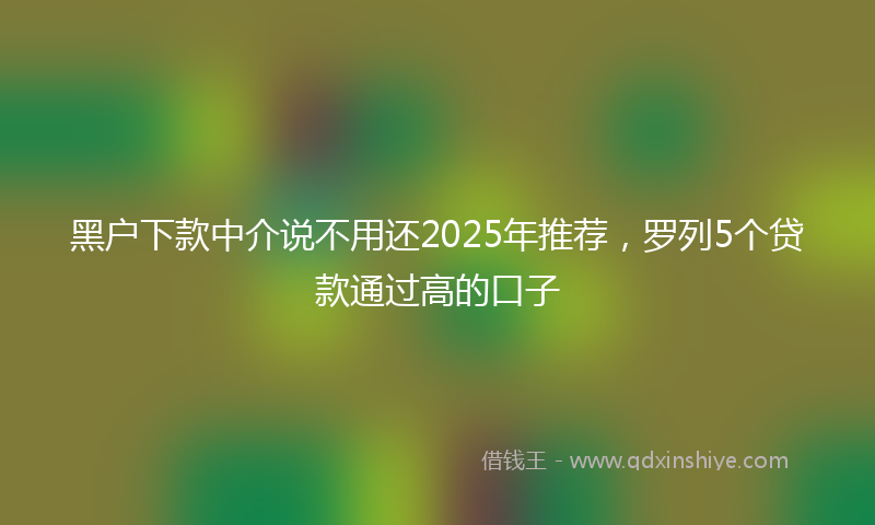 黑户下款中介说不用还2025年推荐，罗列5个贷款通过高的口子