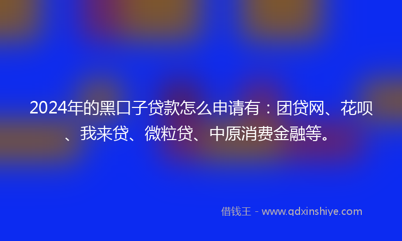 2024年的黑口子贷款怎么申请有：团贷网、花呗、我来贷、微粒贷、中原消费金融等。