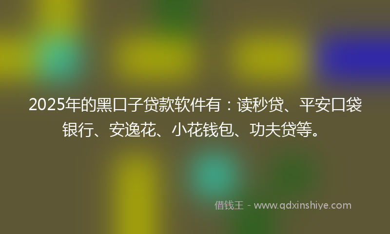 2025年的黑口子贷款软件有：读秒贷、平安口袋银行、安逸花、小花钱包、功夫贷等。