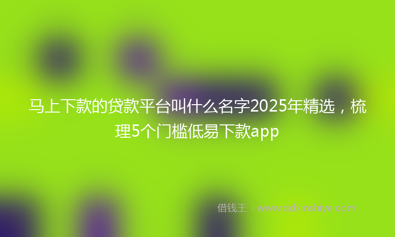 马上下款的贷款平台叫什么名字2025年精选，梳理5个门槛低易下款app
