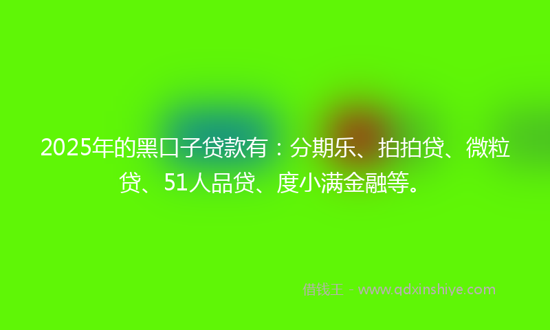2025年的黑口子贷款有：分期乐、拍拍贷、微粒贷、51人品贷、度小满金融等。