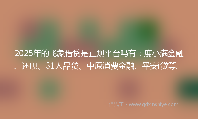 2025年的飞象借贷是正规平台吗有：度小满金融、还呗、51人品贷、中原消费金融、平安i贷等。