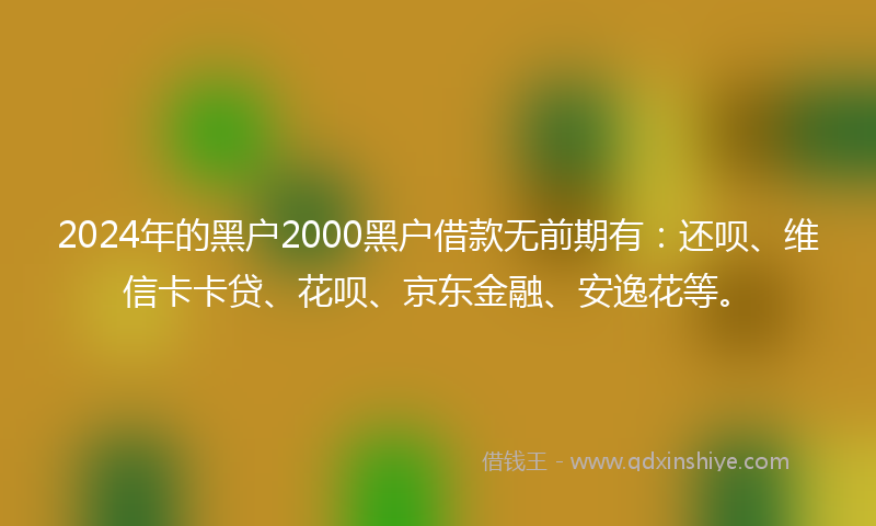2024年的黑户2000黑户借款无前期有：还呗、维信卡卡贷、花呗、京东金融、安逸花等。