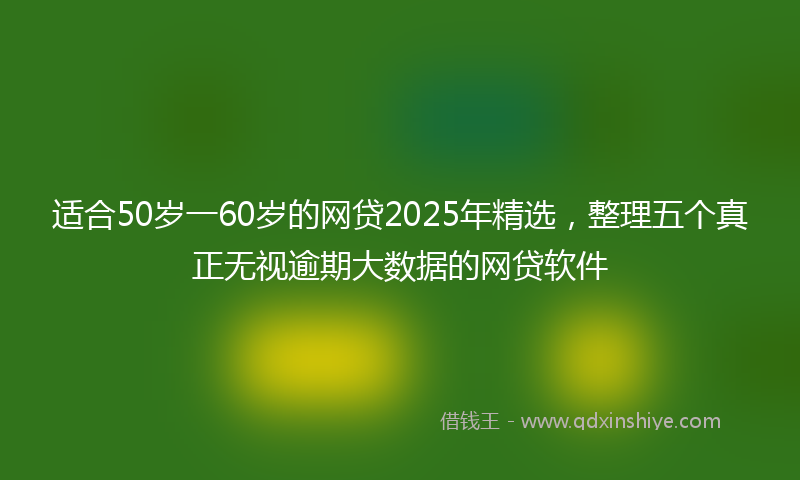 适合50岁一60岁的网贷2025年精选，整理五个真正无视逾期大数据的网贷软件