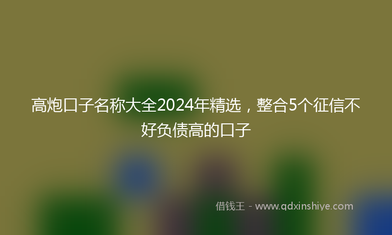 高炮口子名称大全2024年精选，整合5个征信不好负债高的口子
