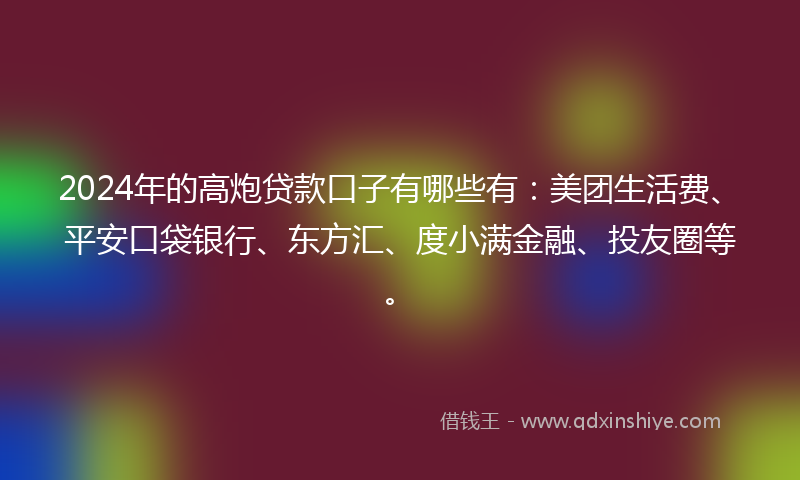 2024年的高炮贷款口子有哪些有：美团生活费、平安口袋银行、东方汇、度小满金融、投友圈等。