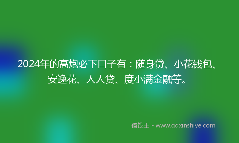 2024年的高炮必下口子有：随身贷、小花钱包、安逸花、人人贷、度小满金融等。