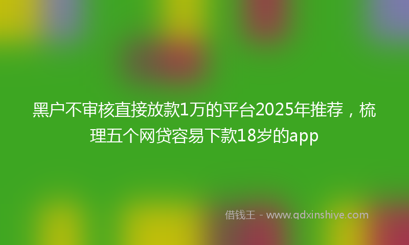 黑户不审核直接放款1万的平台2025年推荐，梳理五个网贷容易下款18岁的app