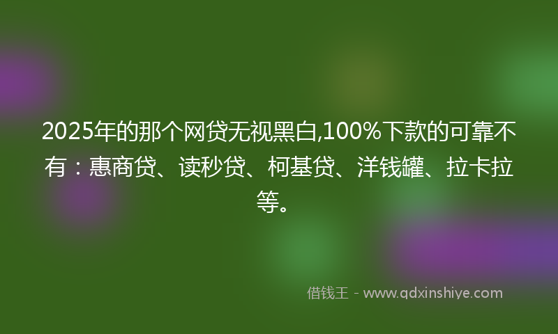 2025年的那个网贷无视黑白,100%下款的可靠不有：惠商贷、读秒贷、柯基贷、洋钱罐、拉卡拉等。