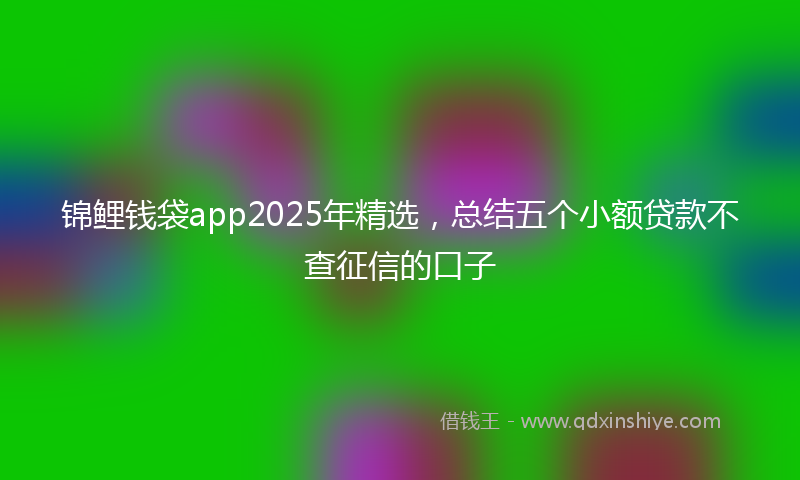 锦鲤钱袋app2025年精选，总结五个小额贷款不查征信的口子