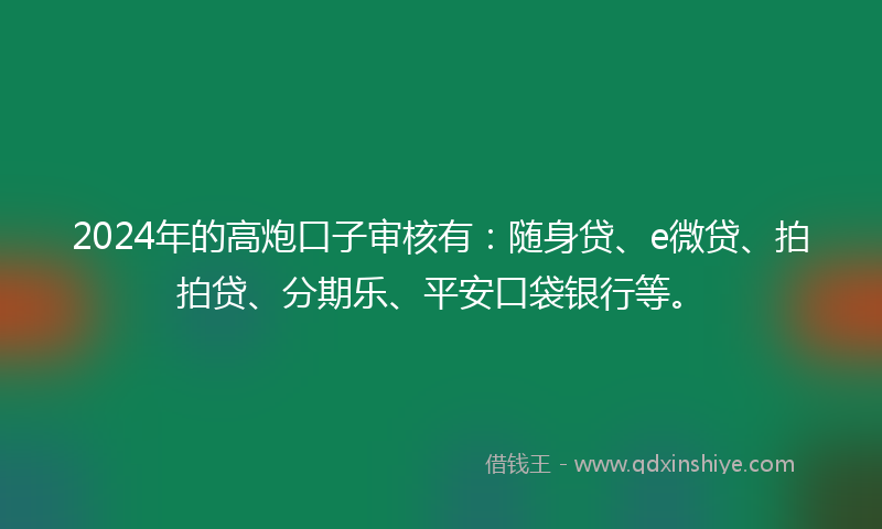 2024年的高炮口子审核有：随身贷、e微贷、拍拍贷、分期乐、平安口袋银行等。