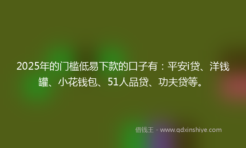 2025年的门槛低易下款的口子有：平安i贷、洋钱罐、小花钱包、51人品贷、功夫贷等。