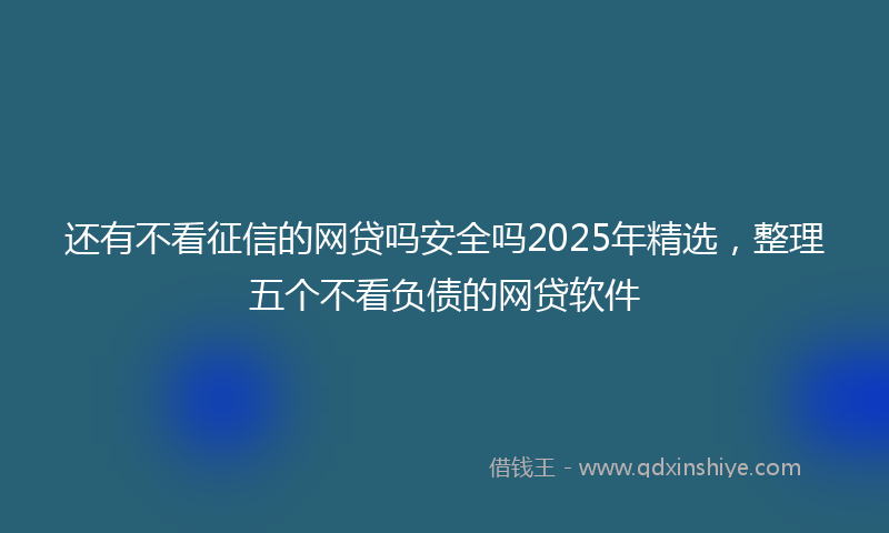 还有不看征信的网贷吗安全吗2025年精选，整理五个不看负债的网贷软件