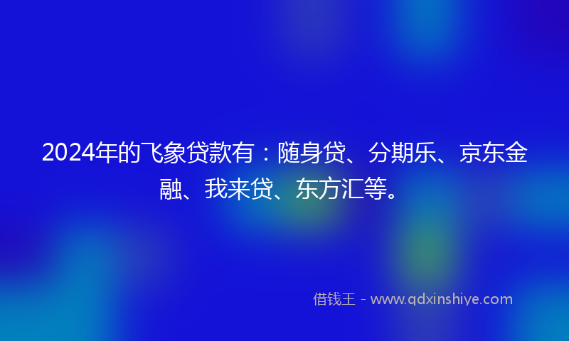 2024年的飞象贷款有：随身贷、分期乐、京东金融、我来贷、东方汇等。
