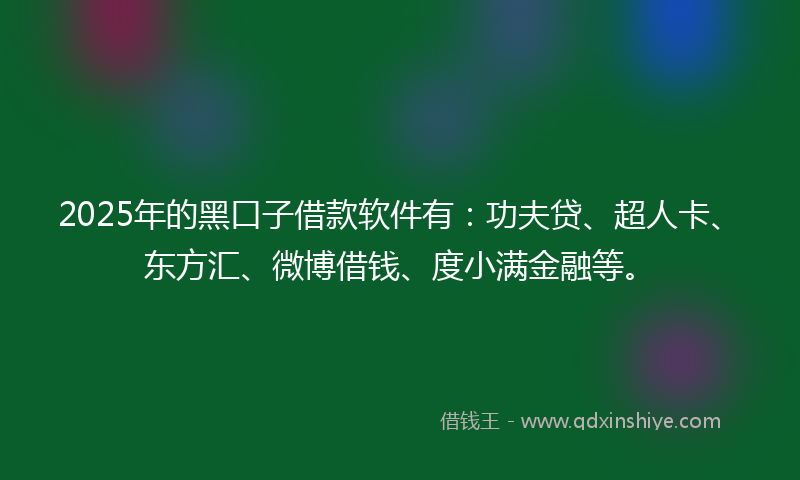 2025年的黑口子借款软件有：功夫贷、超人卡、东方汇、微博借钱、度小满金融等。