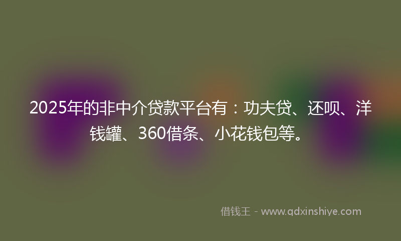 2025年的非中介贷款平台有：功夫贷、还呗、洋钱罐、360借条、小花钱包等。