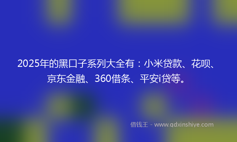 2025年的黑口子系列大全有：小米贷款、花呗、京东金融、360借条、平安i贷等。