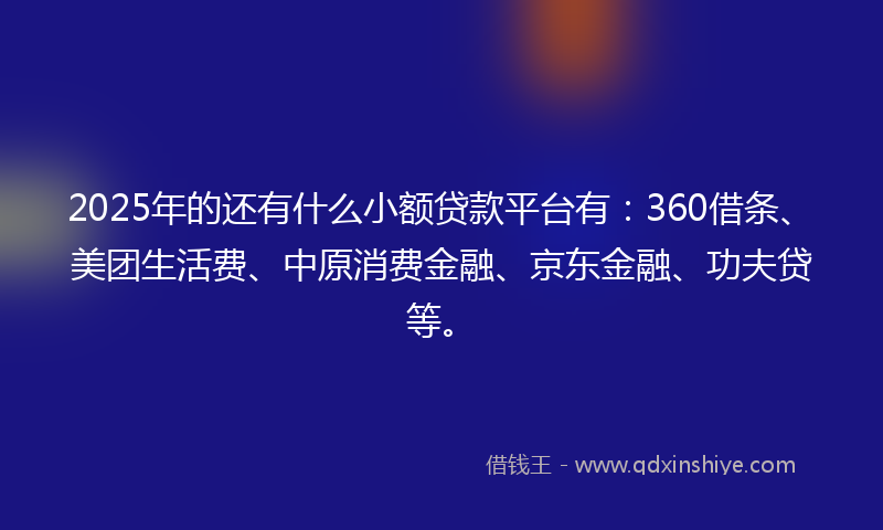 2025年的还有什么小额贷款平台有：360借条、美团生活费、中原消费金融、京东金融、功夫贷等。