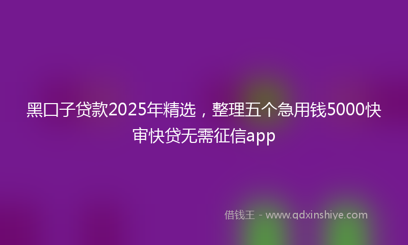 黑囗子贷款2025年精选，整理五个急用钱5000快审快贷无需征信app