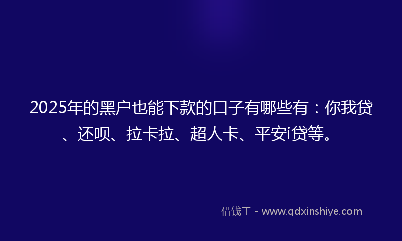 2025年的黑户也能下款的口子有哪些有：你我贷、还呗、拉卡拉、超人卡、平安i贷等。