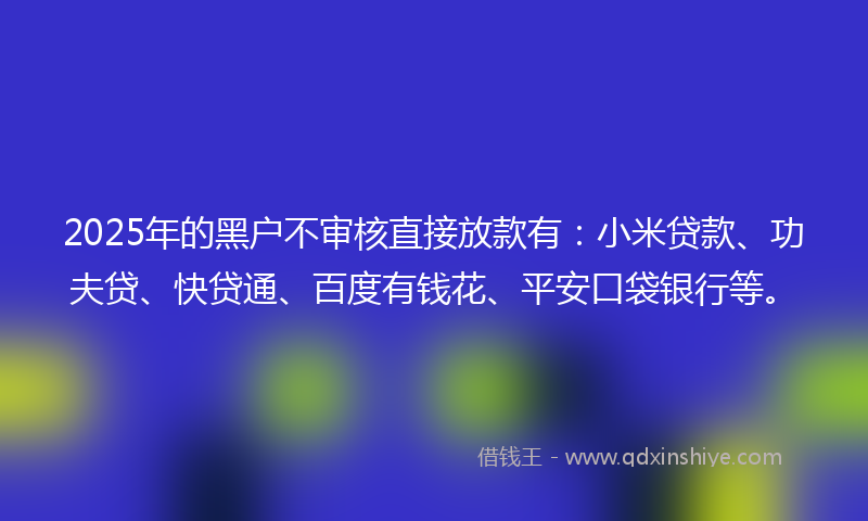 2025年的黑户不审核直接放款有：小米贷款、功夫贷、快贷通、百度有钱花、平安口袋银行等。