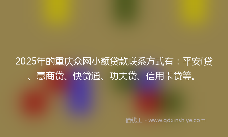 2025年的重庆众网小额贷款联系方式有：平安i贷、惠商贷、快贷通、功夫贷、信用卡贷等。