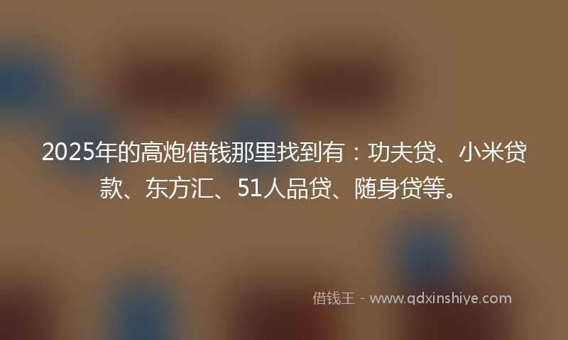 2025年的高炮借钱那里找到有：功夫贷、小米贷款、东方汇、51人品贷、随身贷等。