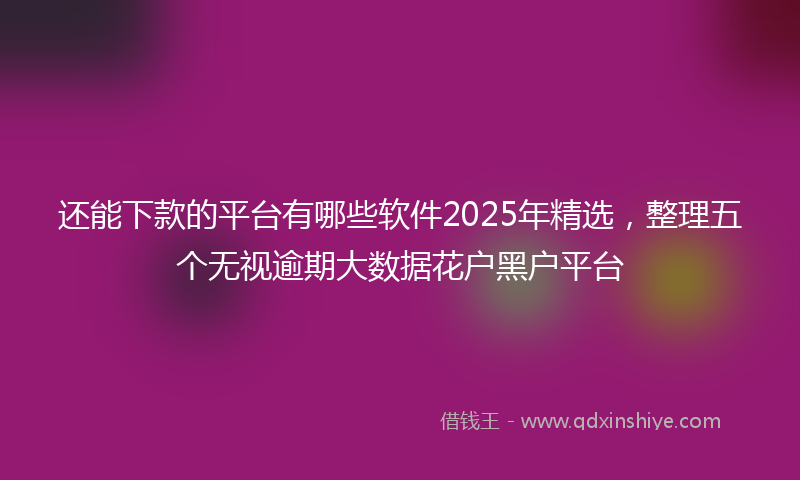 还能下款的平台有哪些软件2025年精选，整理五个无视逾期大数据花户黑户平台
