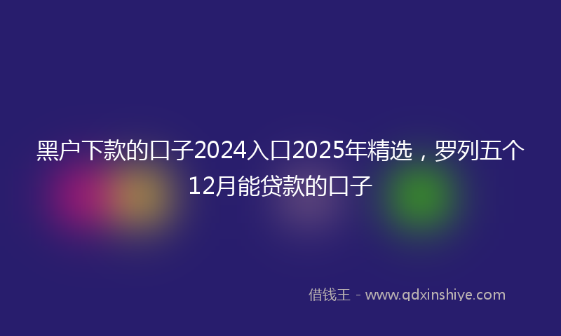 黑户下款的口子2024入口2025年精选，罗列五个12月能贷款的口子
