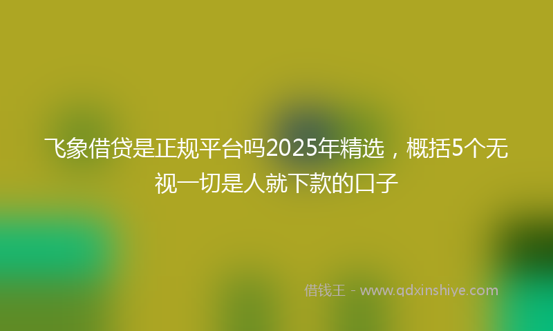 飞象借贷是正规平台吗2025年精选，概括5个无视一切是人就下款的口子