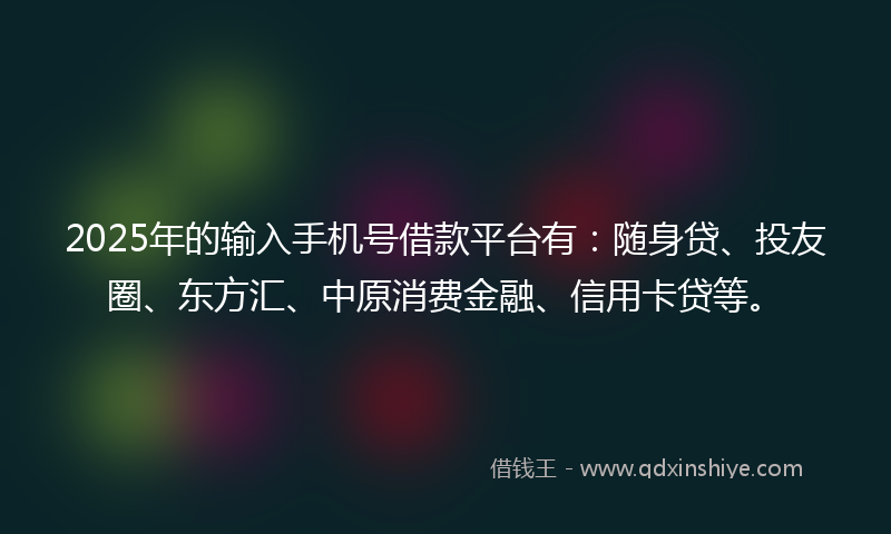 2025年的输入手机号借款平台有：随身贷、投友圈、东方汇、中原消费金融、信用卡贷等。