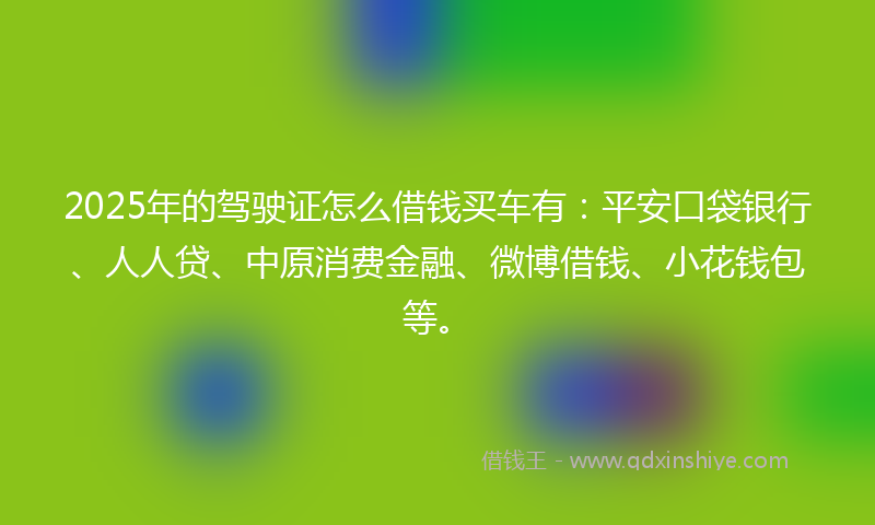 2025年的驾驶证怎么借钱买车有：平安口袋银行、人人贷、中原消费金融、微博借钱、小花钱包等。