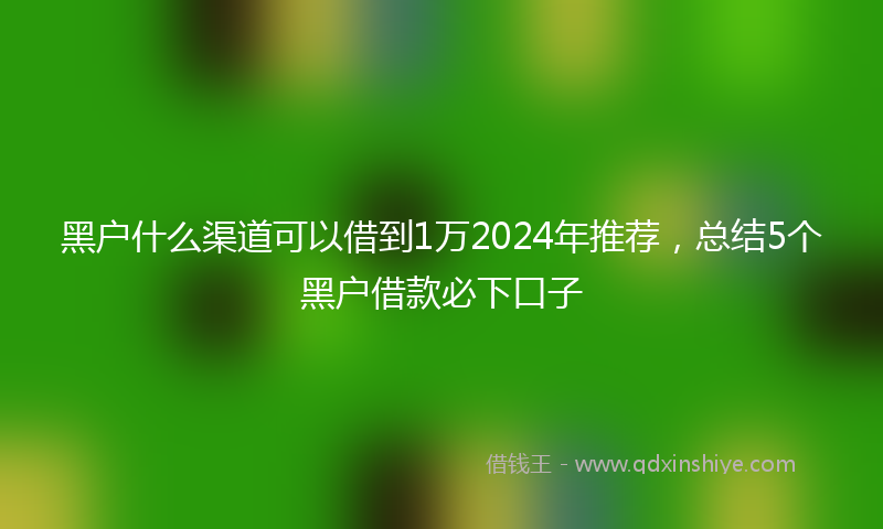 黑户什么渠道可以借到1万2024年推荐，总结5个黑户借款必下口子