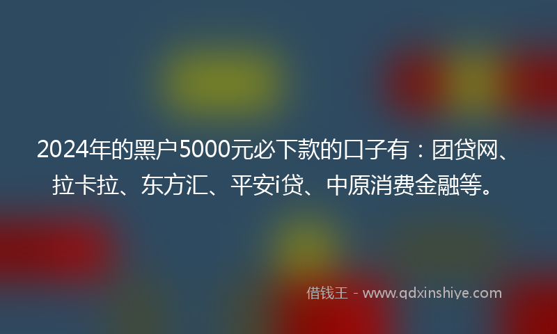 2024年的黑户5000元必下款的口子有：团贷网、拉卡拉、东方汇、平安i贷、中原消费金融等。
