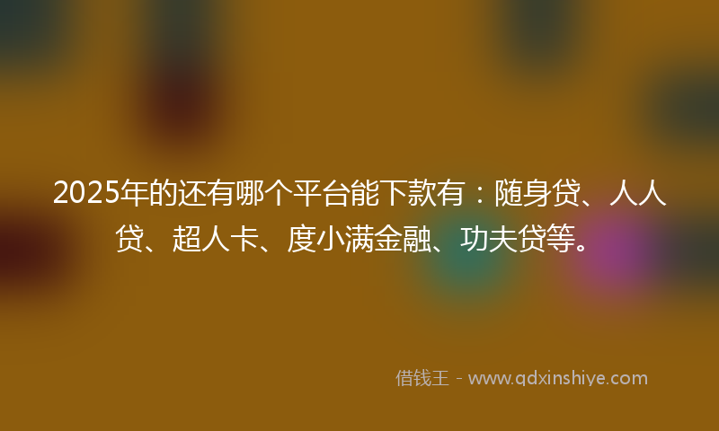 2025年的还有哪个平台能下款有：随身贷、人人贷、超人卡、度小满金融、功夫贷等。