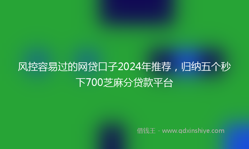 风控容易过的网贷口子2024年推荐，归纳五个秒下700芝麻分贷款平台