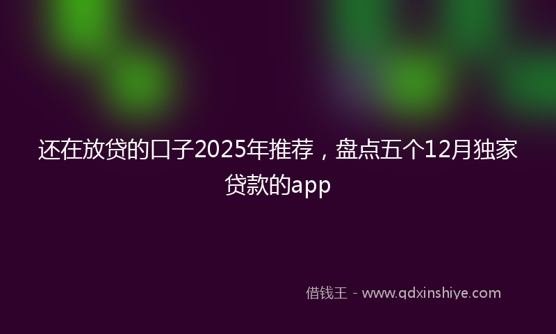 还在放贷的口子2025年推荐，盘点五个12月独家贷款的app
