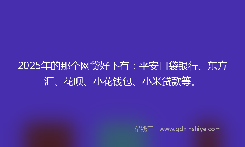 2025年的那个网贷好下有：平安口袋银行、东方汇、花呗、小花钱包、小米贷款等。