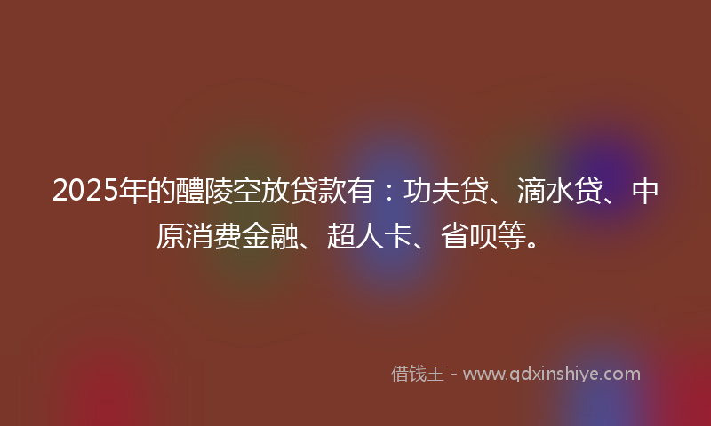 2025年的醴陵空放贷款有：功夫贷、滴水贷、中原消费金融、超人卡、省呗等。