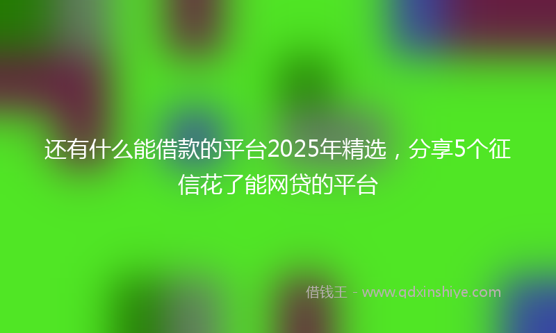 还有什么能借款的平台2025年精选，分享5个征信花了能网贷的平台