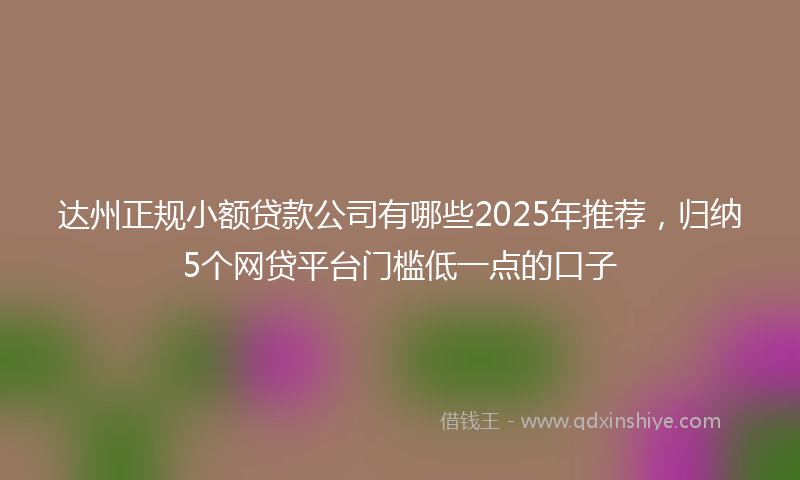 达州正规小额贷款公司有哪些2025年推荐，归纳5个网贷平台门槛低一点的口子
