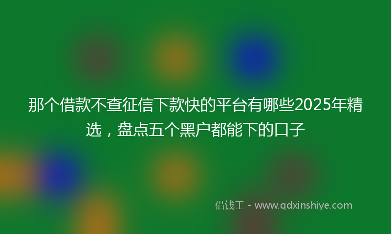 那个借款不查征信下款快的平台有哪些2025年精选，盘点五个黑户都能下的口子