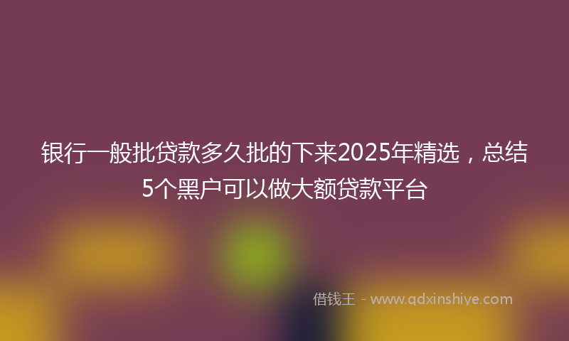 银行一般批贷款多久批的下来2025年精选，总结5个黑户可以做大额贷款平台