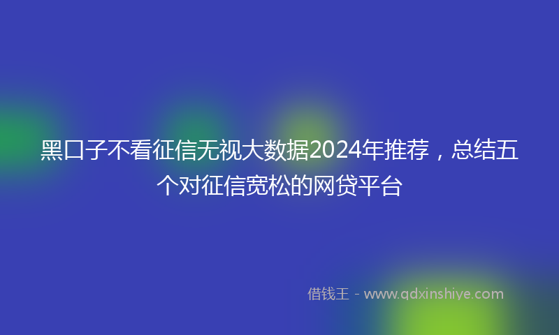 黑口子不看征信无视大数据2024年推荐，总结五个对征信宽松的网贷平台