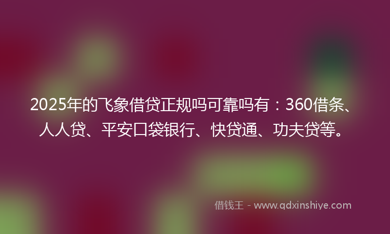 2025年的飞象借贷正规吗可靠吗有：360借条、人人贷、平安口袋银行、快贷通、功夫贷等。