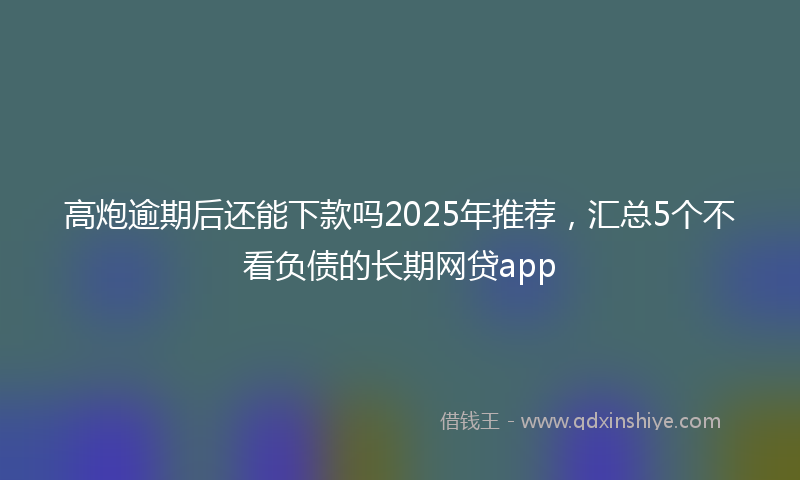 高炮逾期后还能下款吗2025年推荐，汇总5个不看负债的长期网贷app