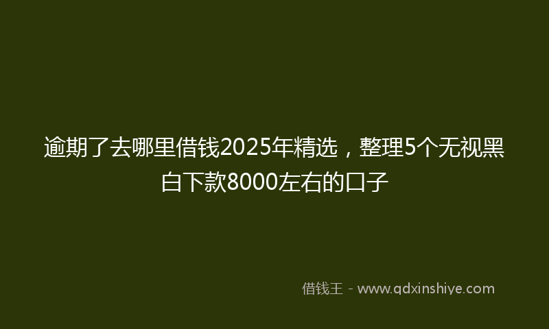逾期了去哪里借钱2025年精选，整理5个无视黑白下款8000左右的口子